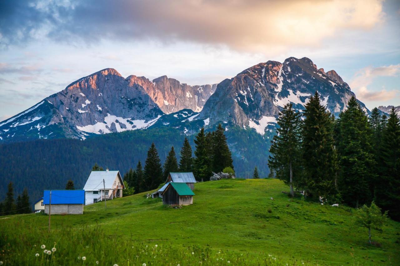Bungalows Fairy Tale Žabljak Eksteriør billede